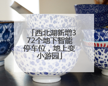 西北湖新增372个地下智能停车位，地上变小游园