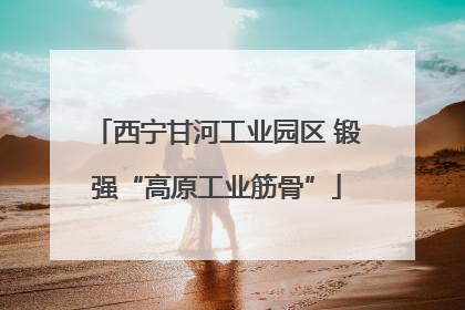 西宁甘河工业园区 锻强“高原工业筋骨”