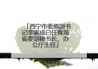 西宁市委原副书记李家成已任青海省委副秘书长、办公厅主任