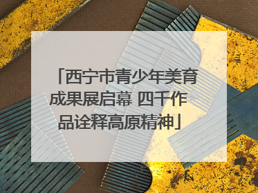 西宁市青少年美育成果展启幕 四千作品诠释高原精神