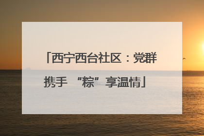西宁西台社区：党群携手 “粽”享温情