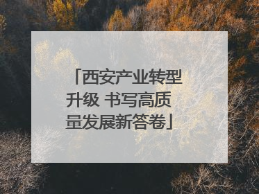 西安产业转型升级 书写高质量发展新答卷