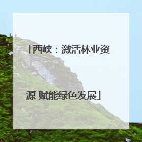 西峡：激活林业资源 赋能绿色发展