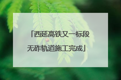 西延高铁又一标段无砟轨道施工完成