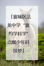 襄城区法龙中学“襄约学科学”点燃少年科技梦