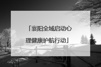 襄阳全域启动心理健康护航行动