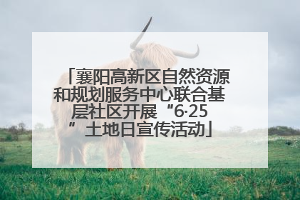襄阳高新区自然资源和规划服务中心联合基层社区开展“6·25”土地日宣传活动