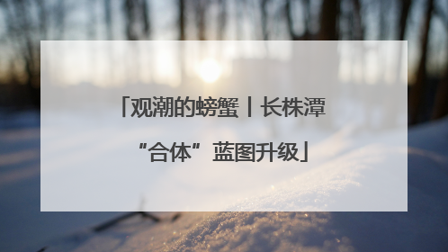 观潮的螃蟹丨长株潭“合体”蓝图升级