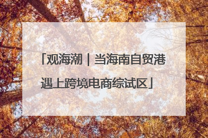 观海潮｜当海南自贸港遇上跨境电商综试区