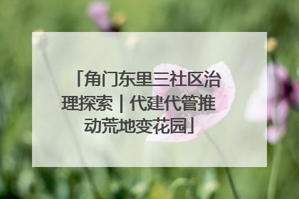 角门东里三社区治理探索｜代建代管推动荒地变花园