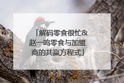 解码零食很忙&赵一鸣零食与加盟商的共赢方程式