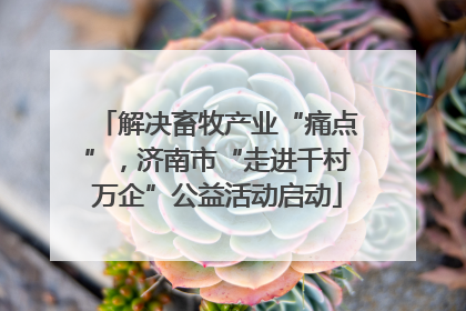解决畜牧产业“痛点”，济南市“走进千村万企”公益活动启动