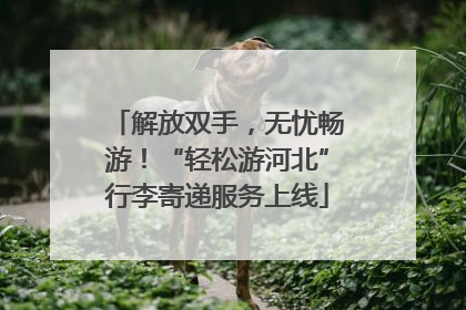 解放双手，无忧畅游！“轻松游河北”行李寄递服务上线