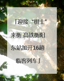 迎接“棋士”来衡 高铁衡阳东站加开16趟临客列车