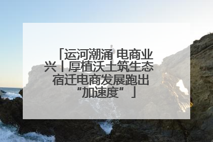 运河潮涌 电商业兴丨厚植沃土筑生态 宿迁电商发展跑出“加速度”