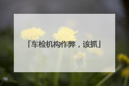 车检机构作弊，该抓