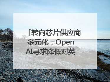 转向芯片供应商多元化，OpenAI寻求降低对英伟达依赖
