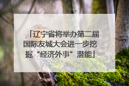 辽宁省将举办第二届国际友城大会进一步挖掘“经济外事”潜能