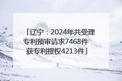辽宁：2024年共受理专利预审请求7468件 获专利授权4213件
