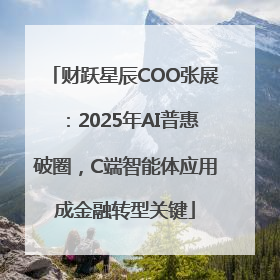财跃星辰COO张展：2025年AI普惠破圈，C端智能体应用成金融转型关键