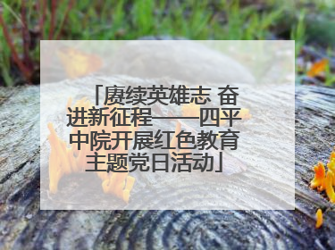 赓续英雄志 奋进新征程——四平中院开展红色教育主题党日活动