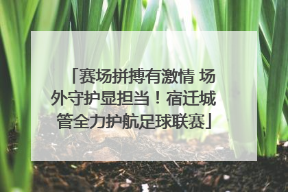 赛场拼搏有激情 场外守护显担当！宿迁城管全力护航足球联赛