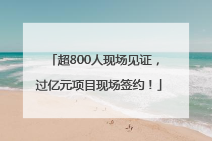 超800人现场见证，过亿元项目现场签约！