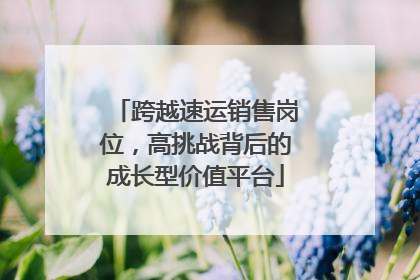 跨越速运销售岗位，高挑战背后的成长型价值平台