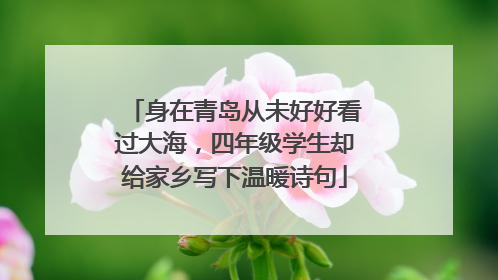 身在青岛从未好好看过大海，四年级学生却给家乡写下温暖诗句