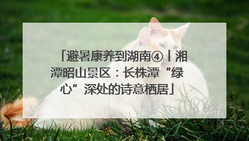 避暑康养到湖南④丨湘潭昭山景区：长株潭“绿心”深处的诗意栖居