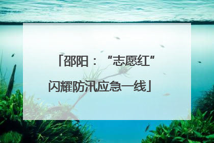 邵阳：“志愿红”闪耀防汛应急一线
