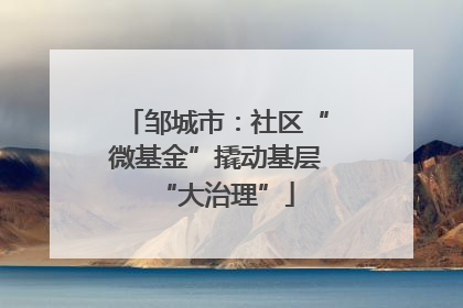 邹城市：社区“微基金”撬动基层“大治理”