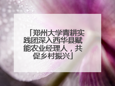 郑州大学青耕实践团深入西华县赋能农业经理人，共促乡村振兴