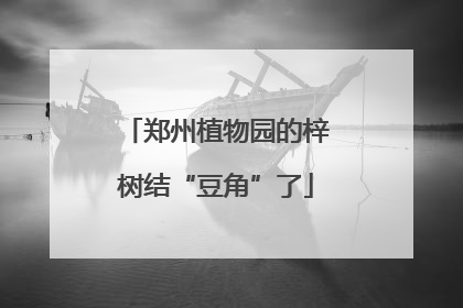 郑州植物园的梓树结“豆角”了