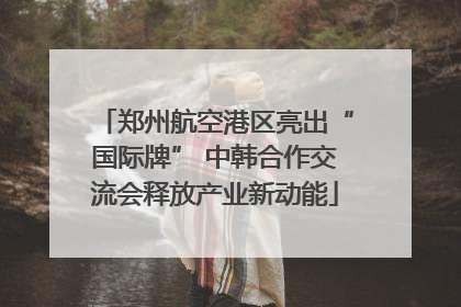 郑州航空港区亮出“国际牌” 中韩合作交流会释放产业新动能