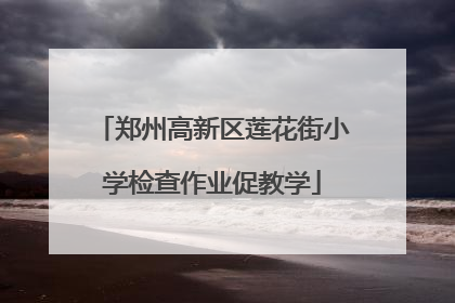 郑州高新区莲花街小学检查作业促教学