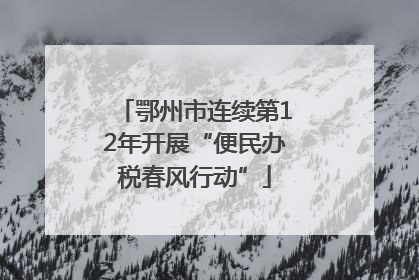 鄂州市连续第12年开展“便民办税春风行动”