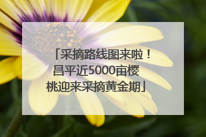 采摘路线图来啦！昌平近5000亩樱桃迎来采摘黄金期