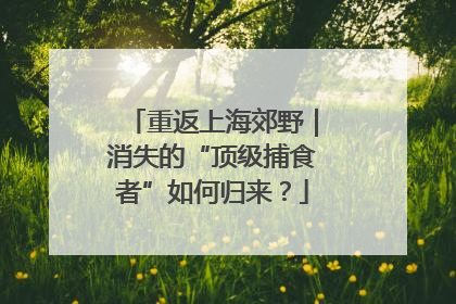 重返上海郊野｜消失的“顶级捕食者”如何归来？