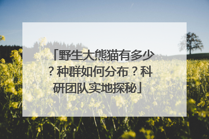 野生大熊猫有多少？种群如何分布？科研团队实地探秘