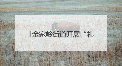 金家岭街道开展“礼让斑马线 文明你我他”主题宣讲活动