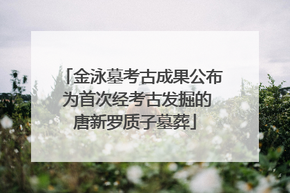 金泳墓考古成果公布 为首次经考古发掘的唐新罗质子墓葬