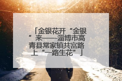金银花开“金银”来——淄博市高青县常家镇共富路上“一路生花”