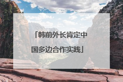 韩前外长肯定中国多边合作实践