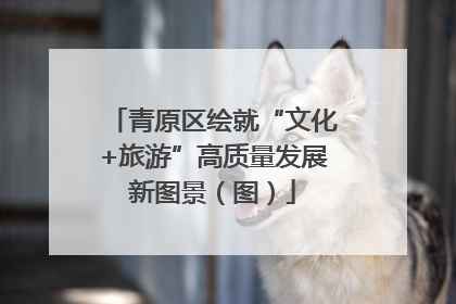 青原区绘就“文化+旅游”高质量发展新图景（图）