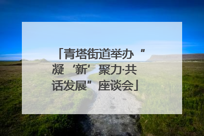 青塔街道举办“凝‘新’聚力·共话发展”座谈会
