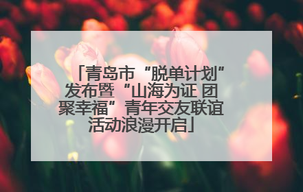 青岛市“脱单计划”发布暨“山海为证 团聚幸福”青年交友联谊活动浪漫开启