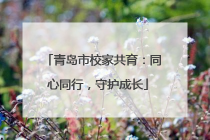 青岛市校家共育：同心同行，守护成长