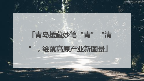 青岛援藏妙笔“青”“清”，绘就高原产业新图景