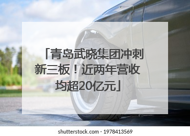 青岛武晓集团冲刺新三板！近两年营收均超20亿元